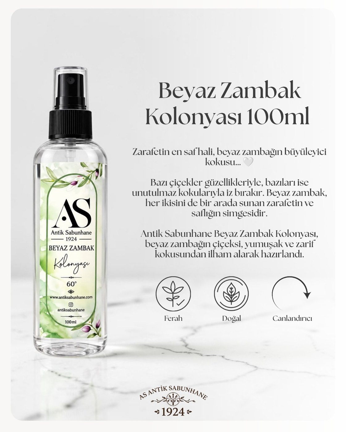 Beyaz Zambak Kolonyası