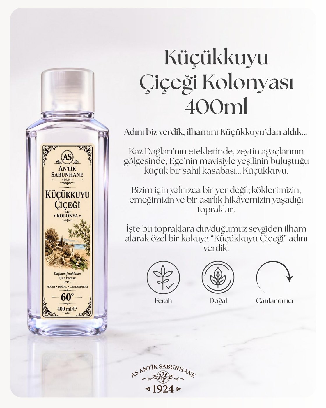 Küçükkuyu Çiçeği Kolonyası