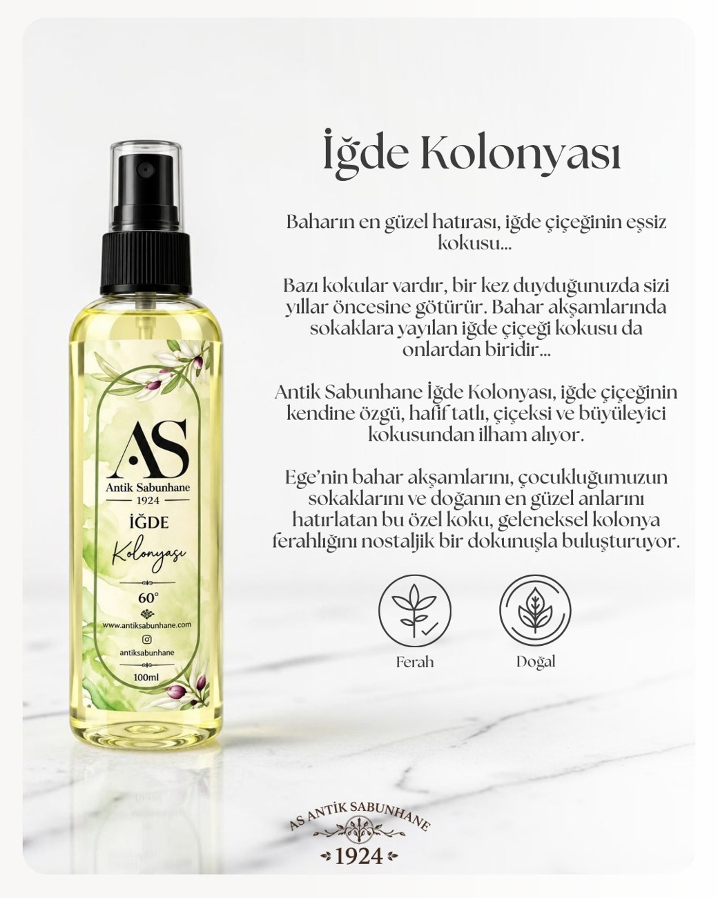 İğde Kolonyası